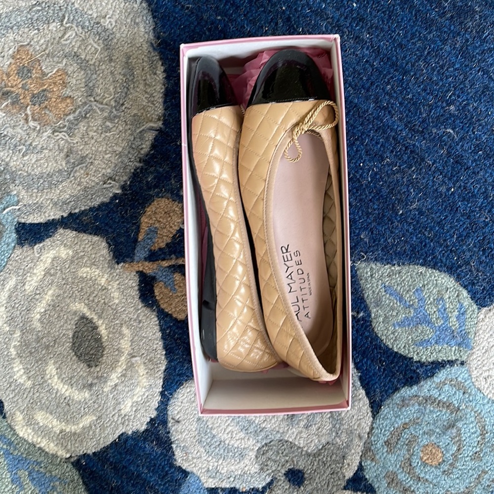 Great leather flats! NIB